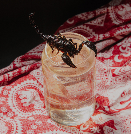 Cocktails & Drinks